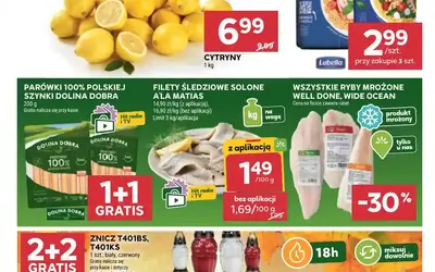 Stokrotka gazetka promocyjna od 6.8.26